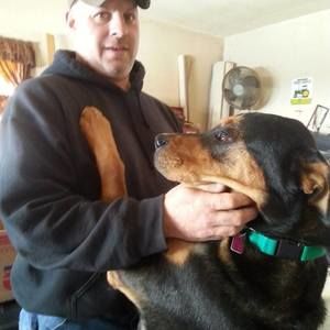 Meet your Posher, William